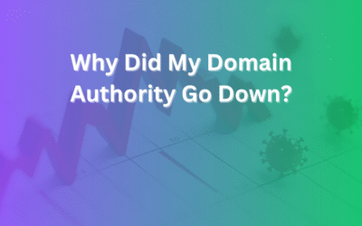 Why Did My Domain Authority Go Down – Understanding the Drop and How You Can Recover